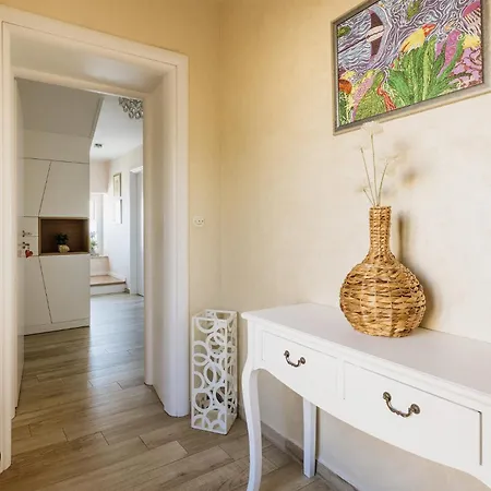 Mirna Stress Free Babici